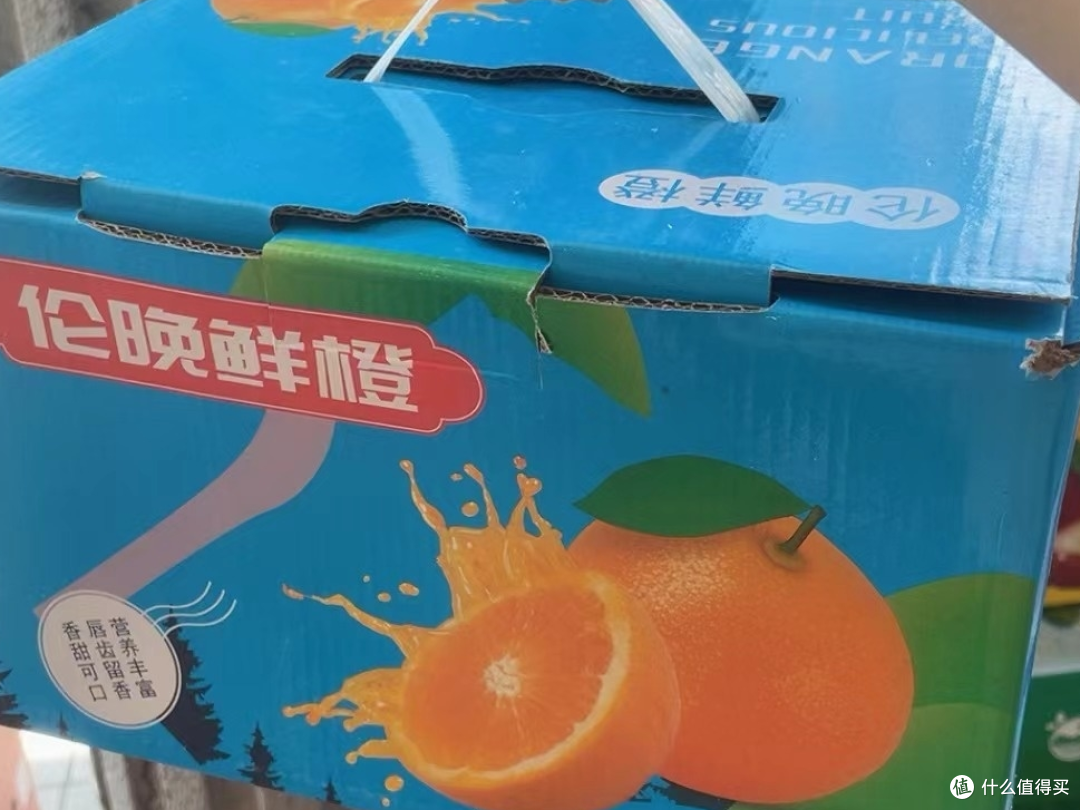 伦晚鲜橙，你尝过吗？