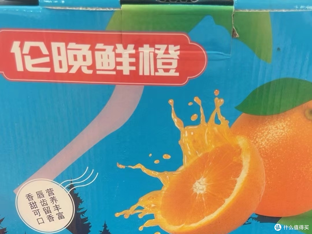 伦晚鲜橙，你尝过吗？