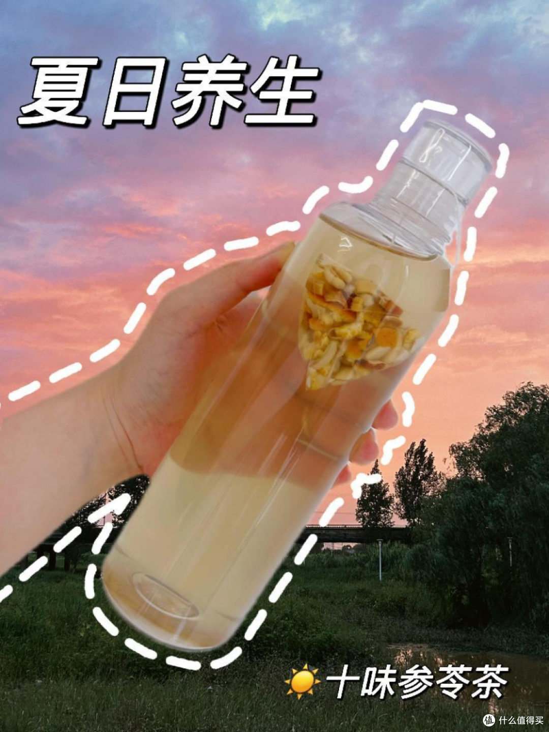 一到夏天就身材焦虑?每天喝一杯这个茶