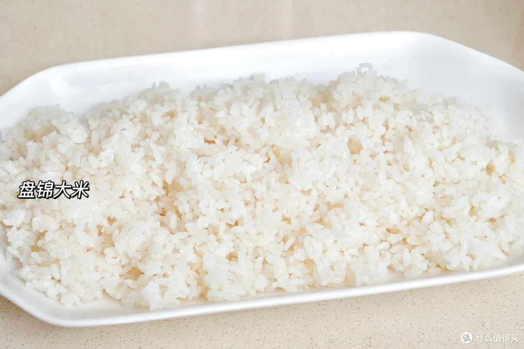 性能实测!百元级多功能电饭煲,美的新品白月光电饭煲烹饪体验