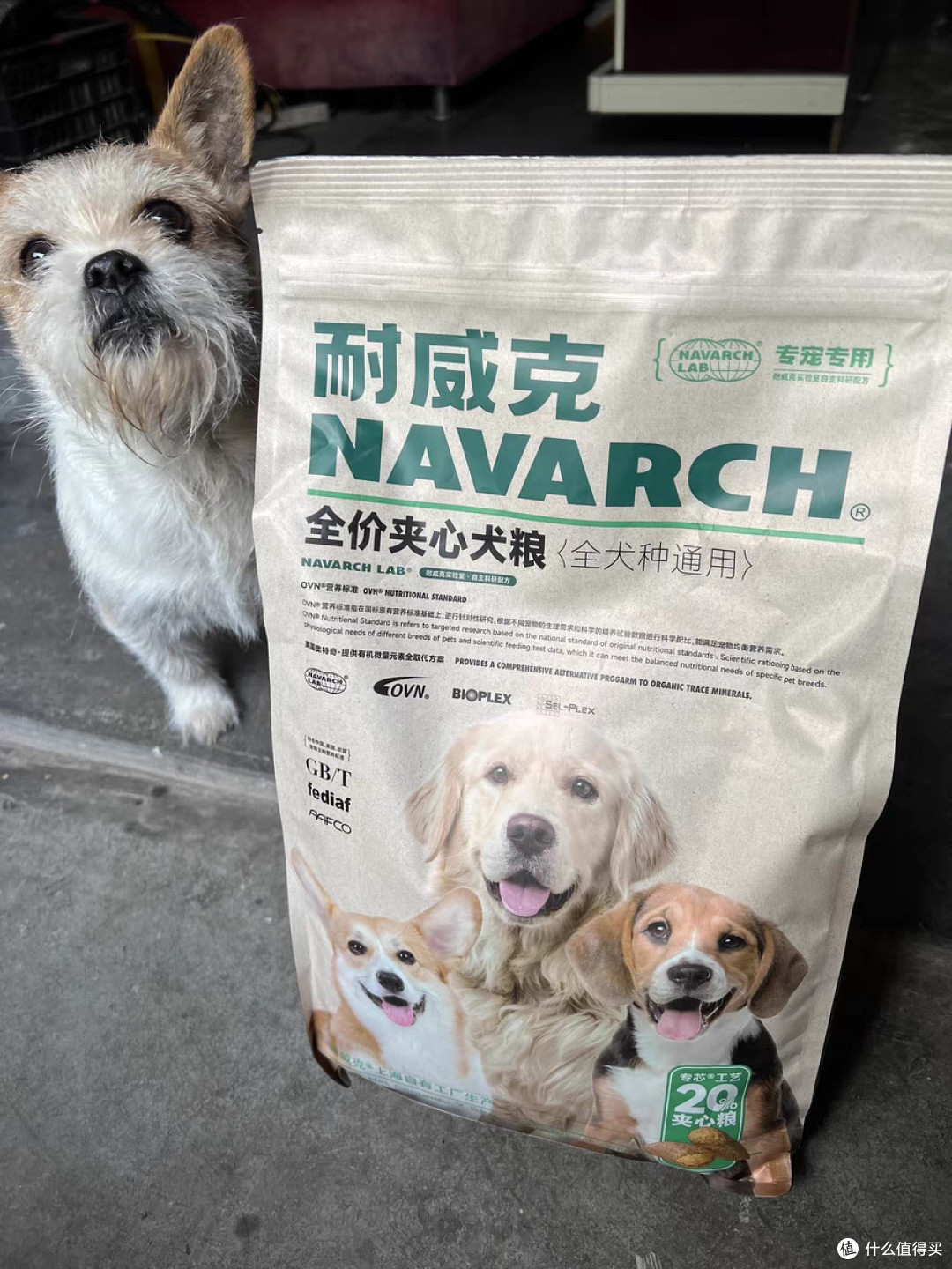 618养宠必囤!耐威克鲜肉夹心狗粮,老年犬的美味健康之选