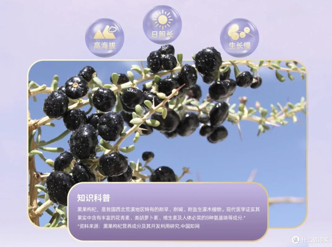 花青素王者,燕之坊青海黑枸杞的科学养生密码~