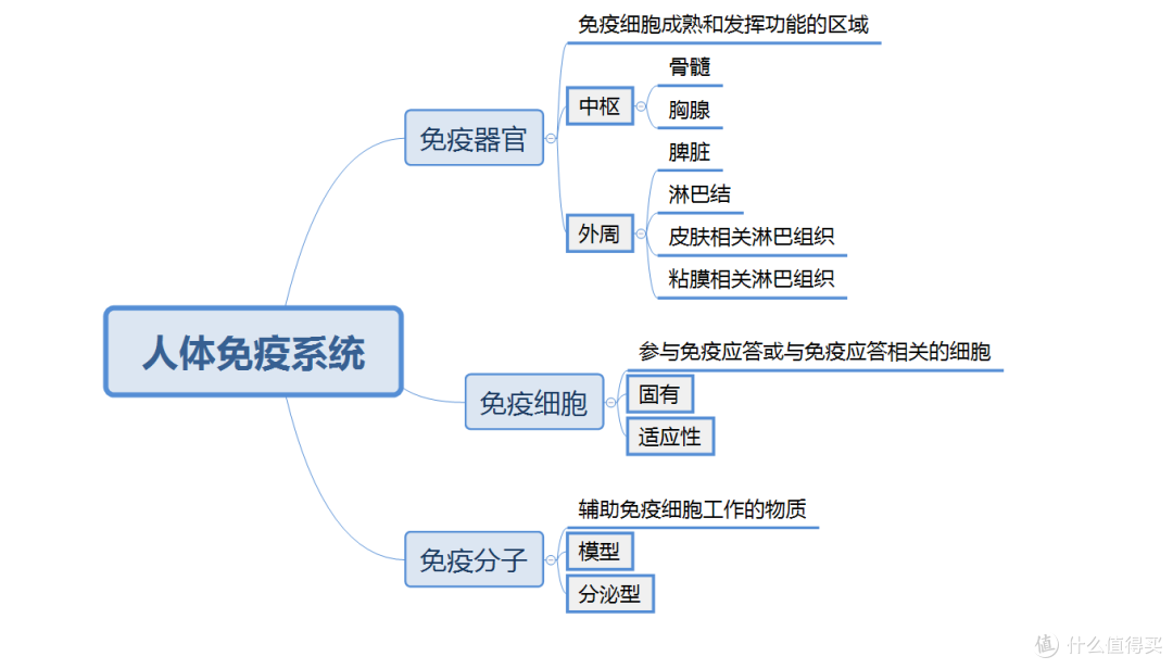 “脆皮人”自救指南,如何拯救你的免疫力?