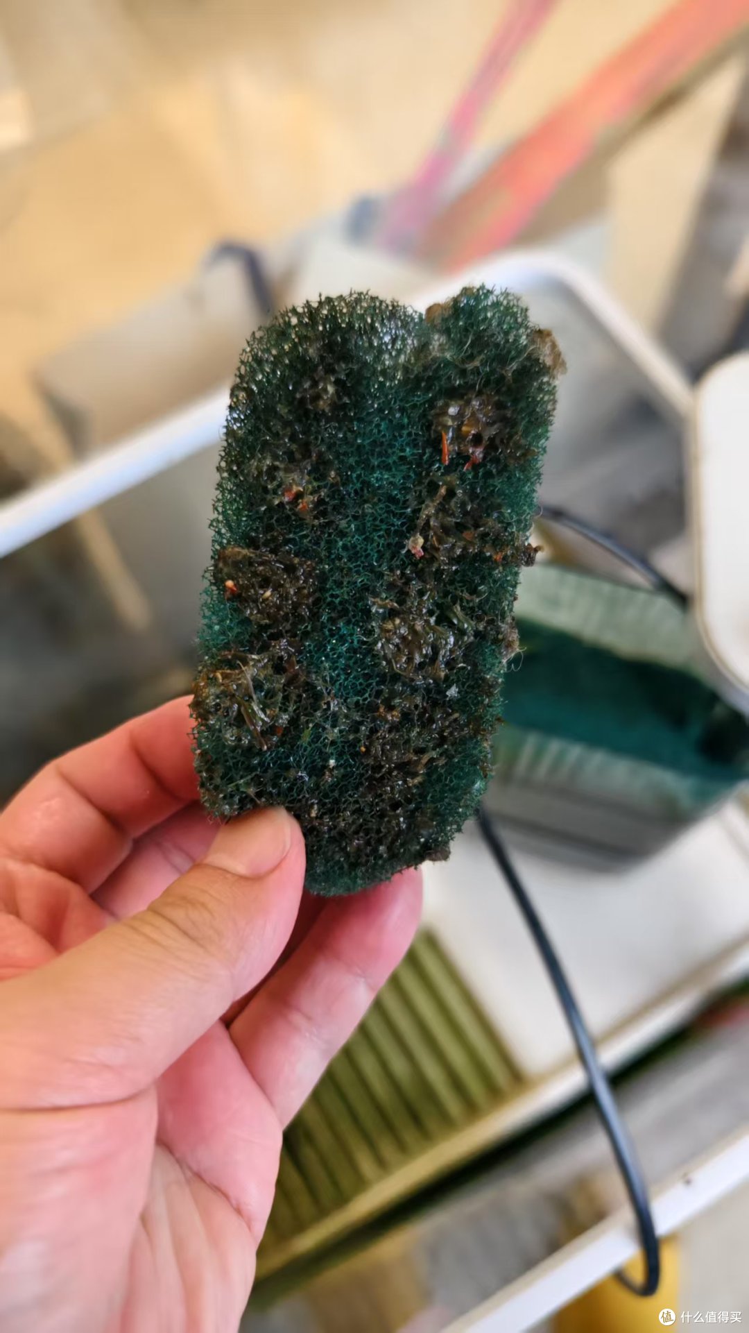 天下没有花钱的不是——当贝智能壁挂过滤器N1 800AI 开箱
