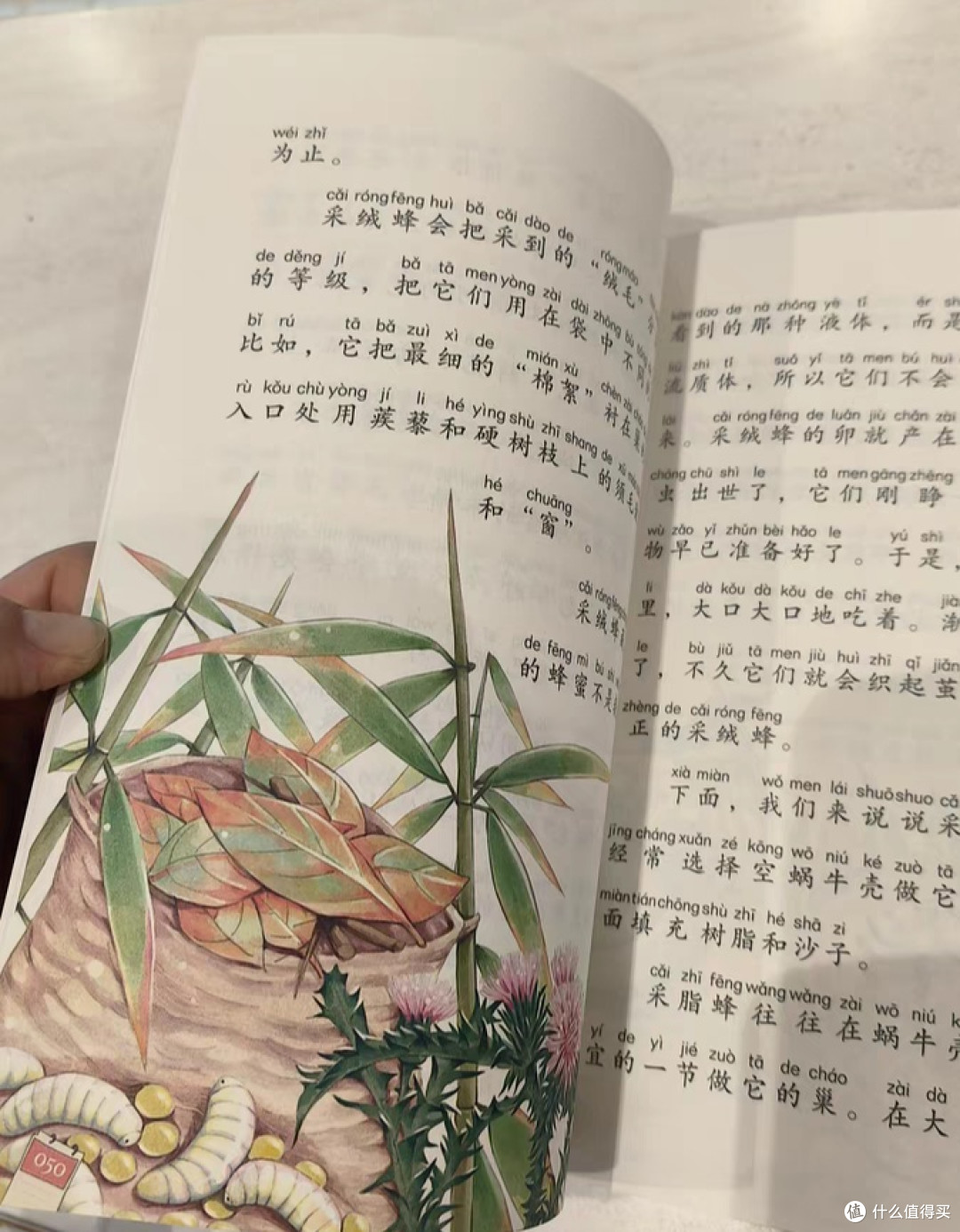 《昆虫记》:拓宽孩子自然科学视野