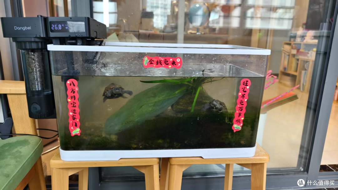 净化中