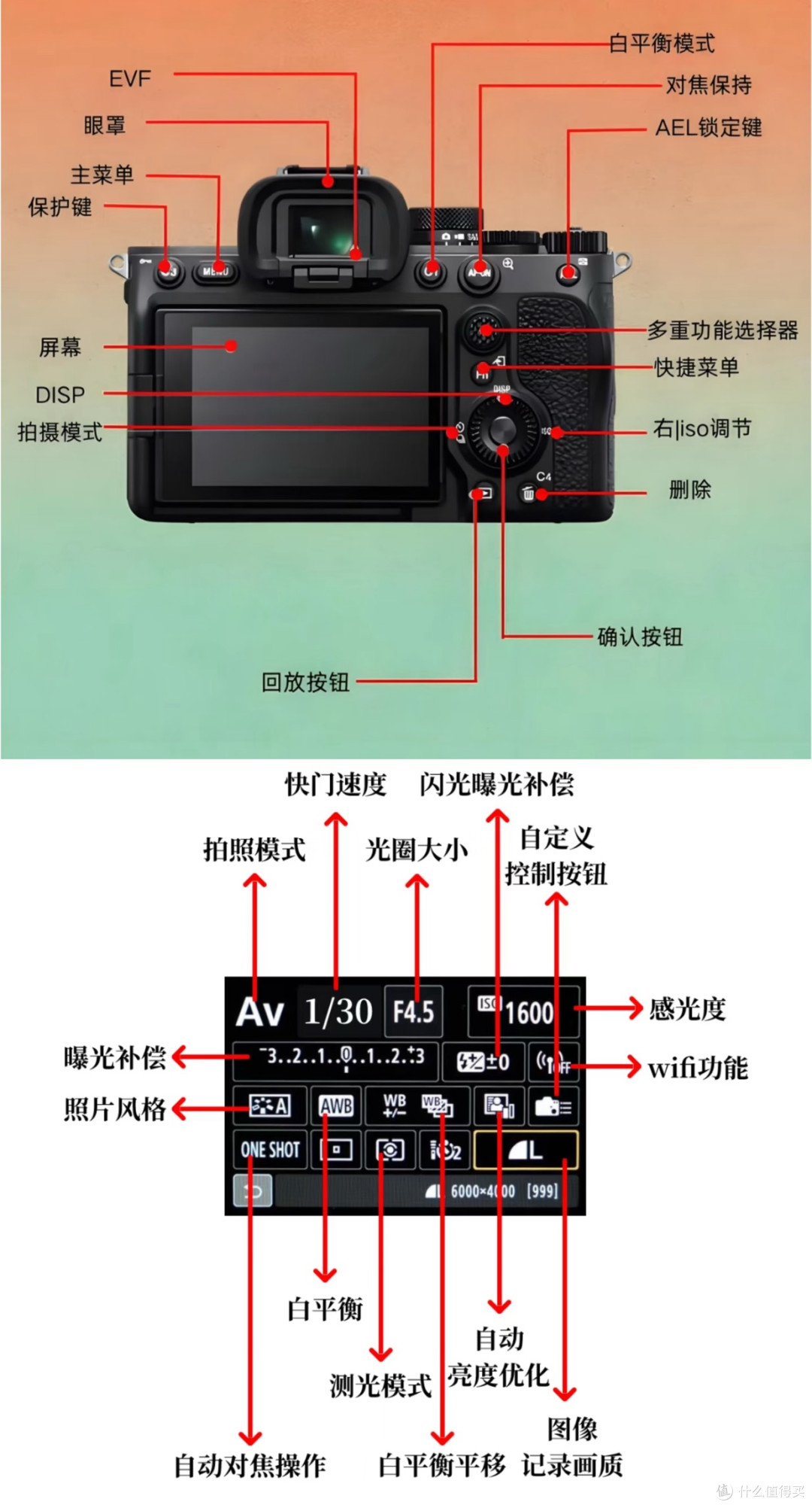 索尼A7M4 or 佳能R6 Mark II 📷哪个更值得买?