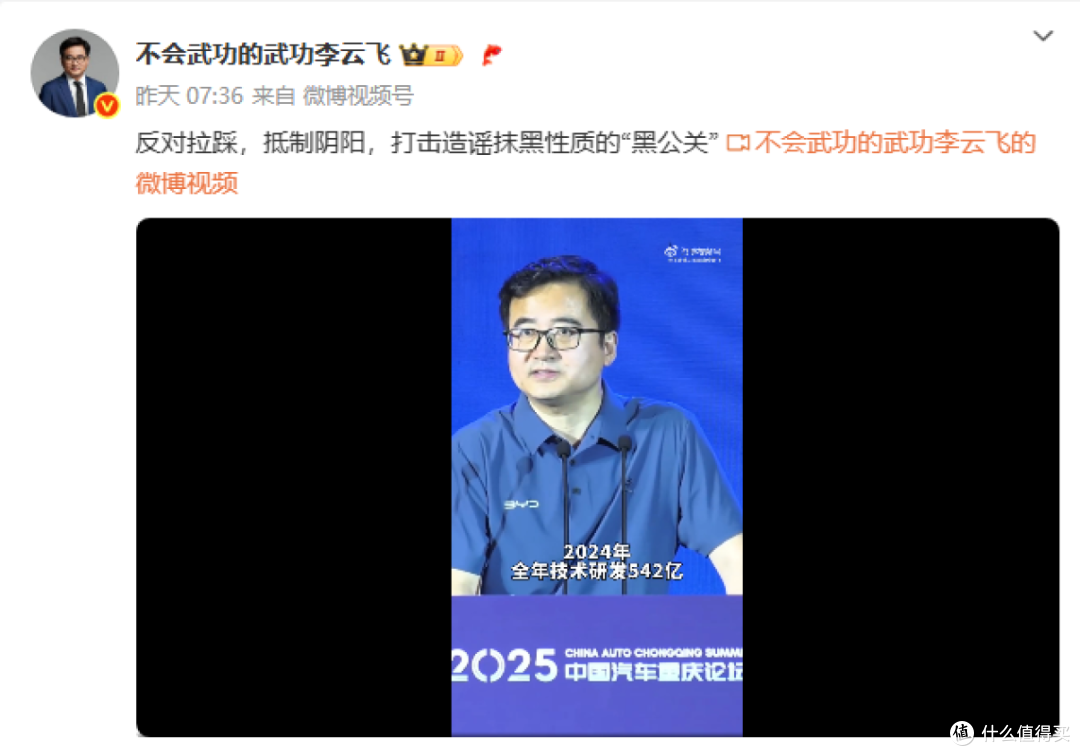 同行们想要比亚迪倒下,但王传福坚持一条路走到黑