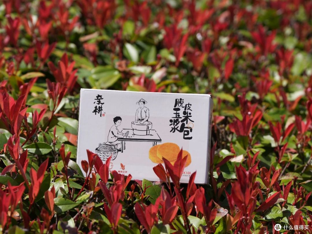 晚餐新宠：脱皮玉米浆包，轻负担的粗粮美味