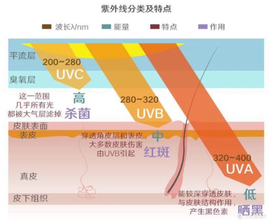 夏日运动酷暑防护全攻略：从装备到策略，助你安全驰骋盛夏！