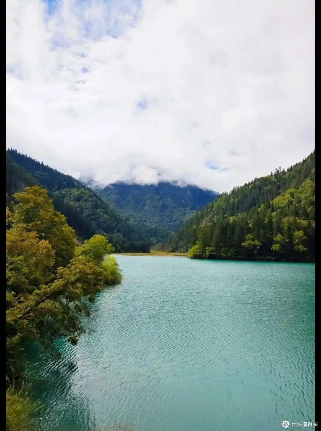 夏日出游宝藏地:九寨沟,邂逅清凉与斑斓