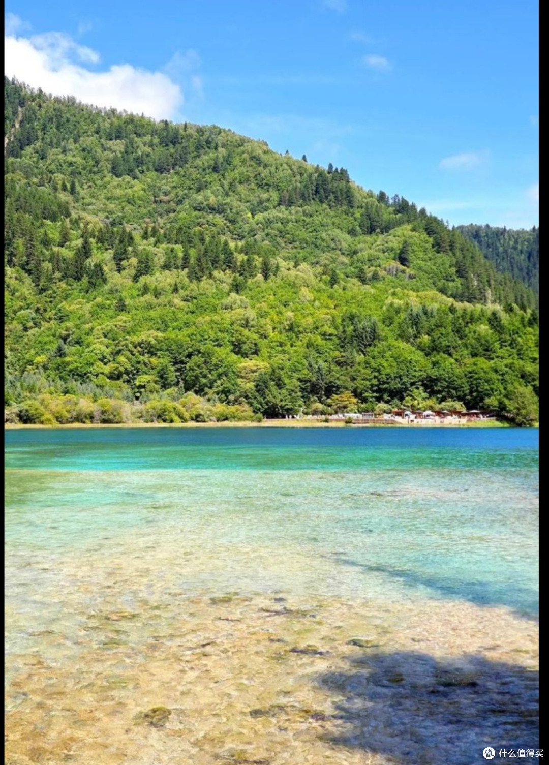 夏日出游宝藏地:九寨沟,邂逅清凉与斑斓
