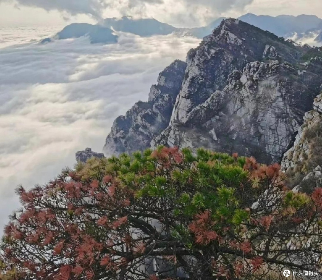 夏日避暑秘境:庐山,开启云雾间的清凉之旅