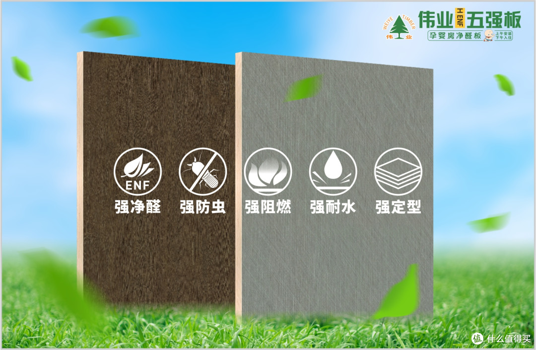 虫蛀、变形、甲醛?伟业五强板的无机胶一招终结家装的噩梦