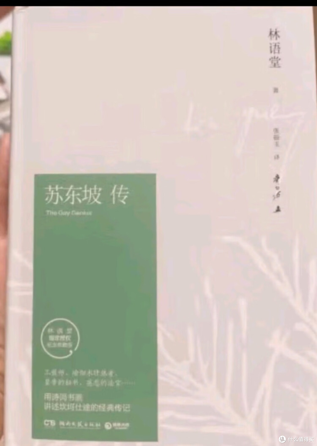 从烟火到诗意:遇见真人东坡
