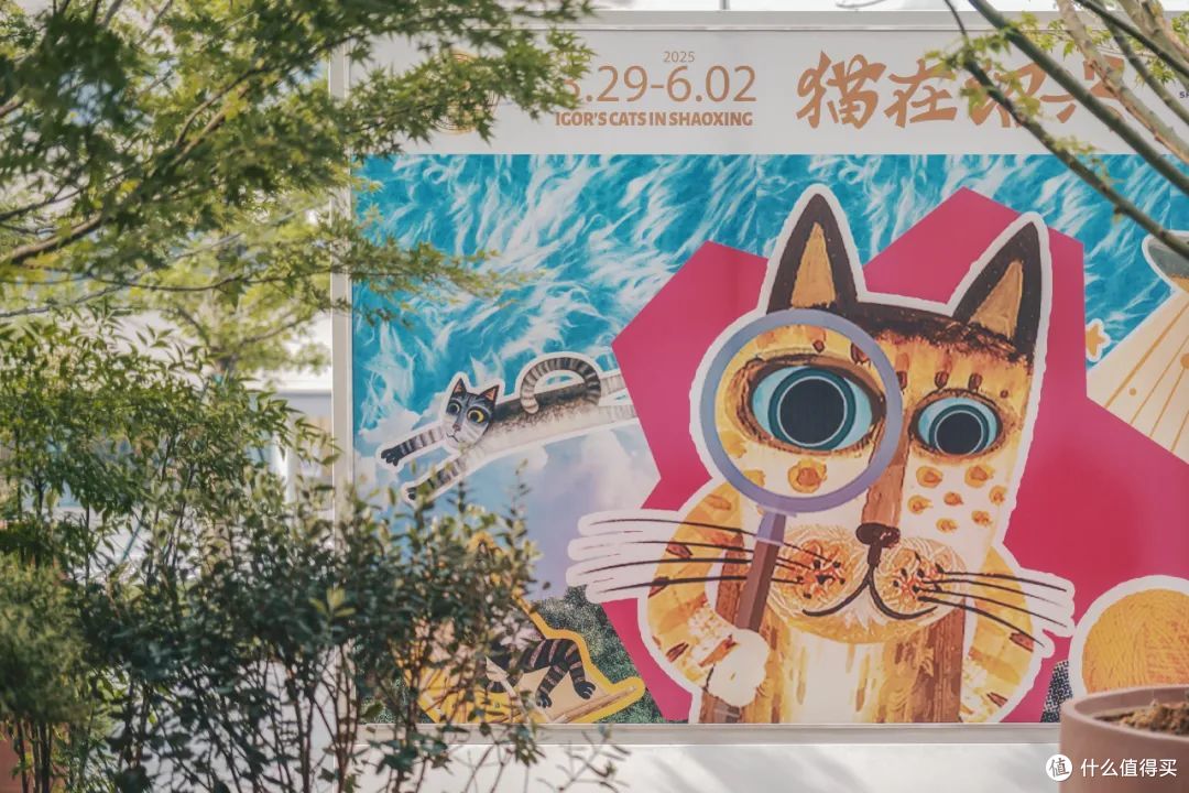 终于等到这座热门城市的刚需酒店！太好住了！