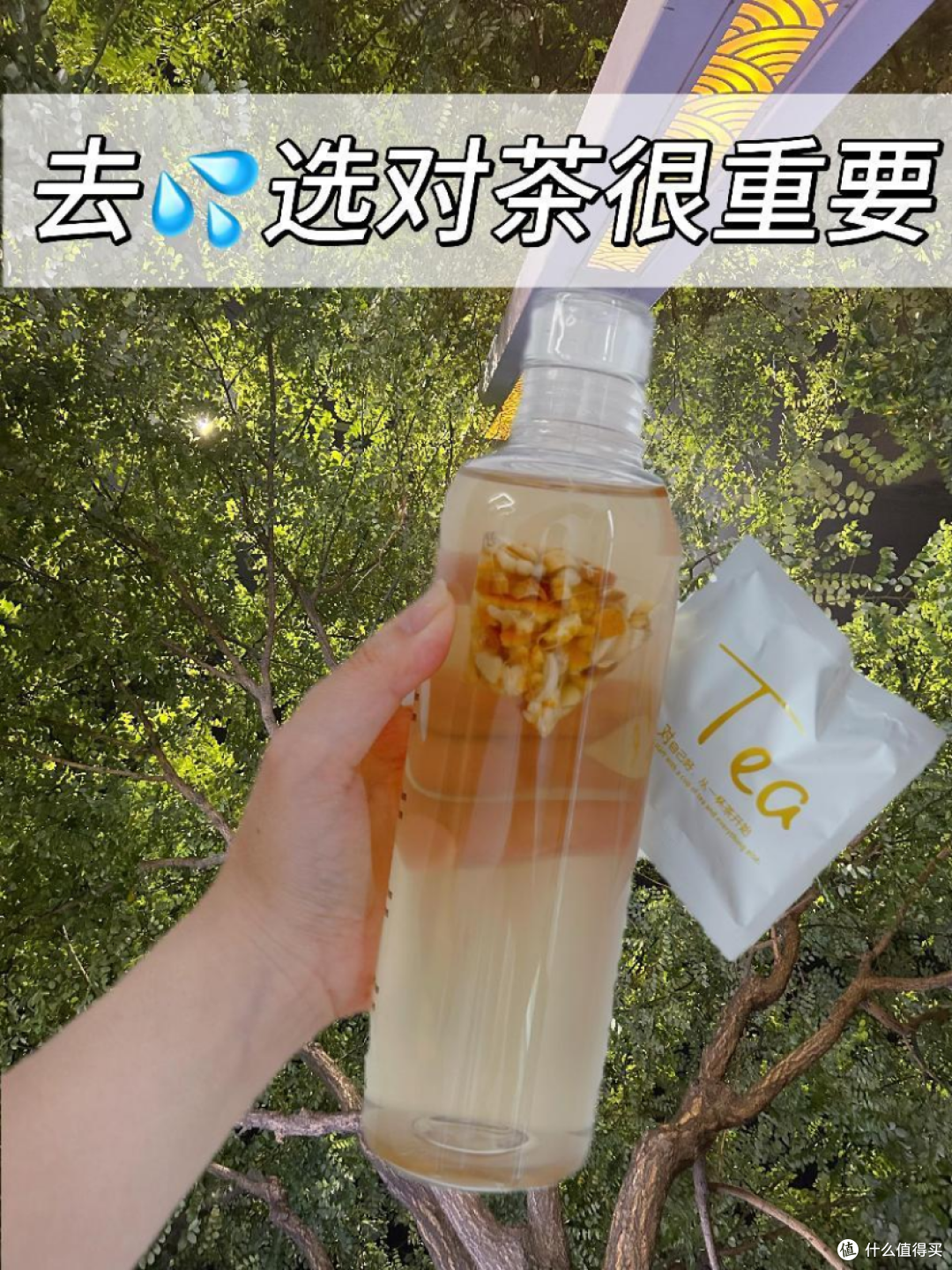 祛湿选对茶很重要!选茶攻略分享!