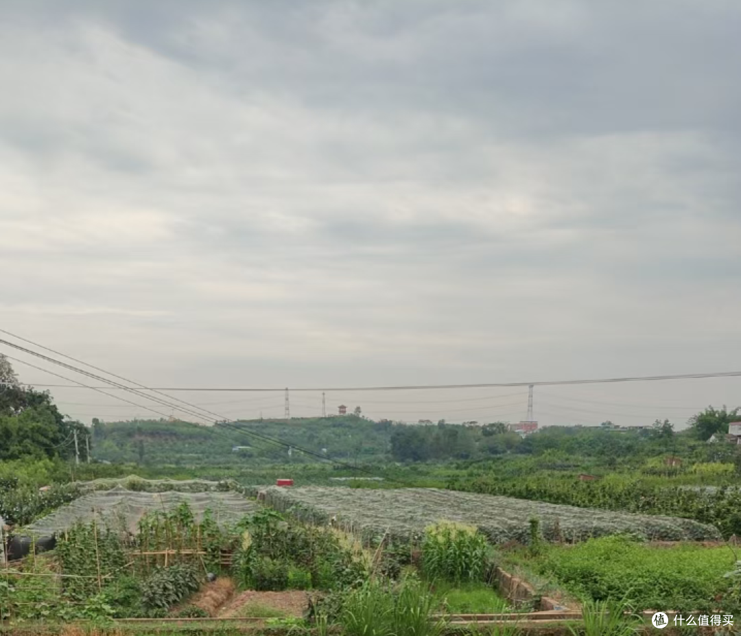 场景