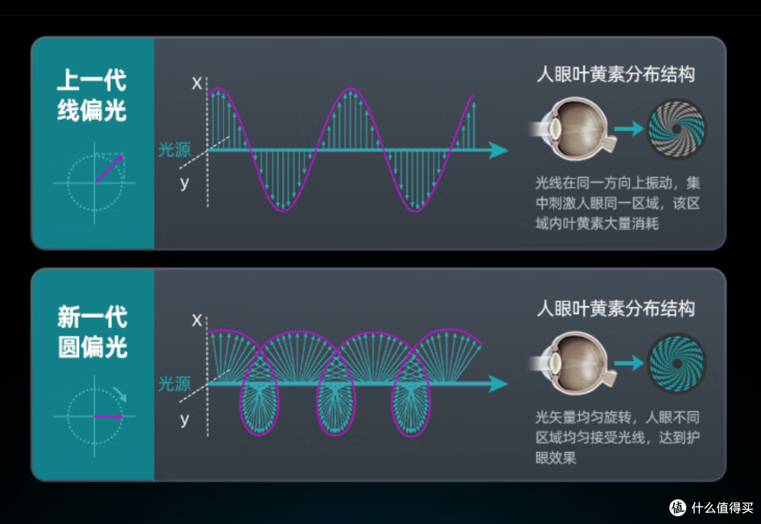 千元护眼电竞新选择,飞利浦EVNIA -舒视蓝4.0圆偏光显示器