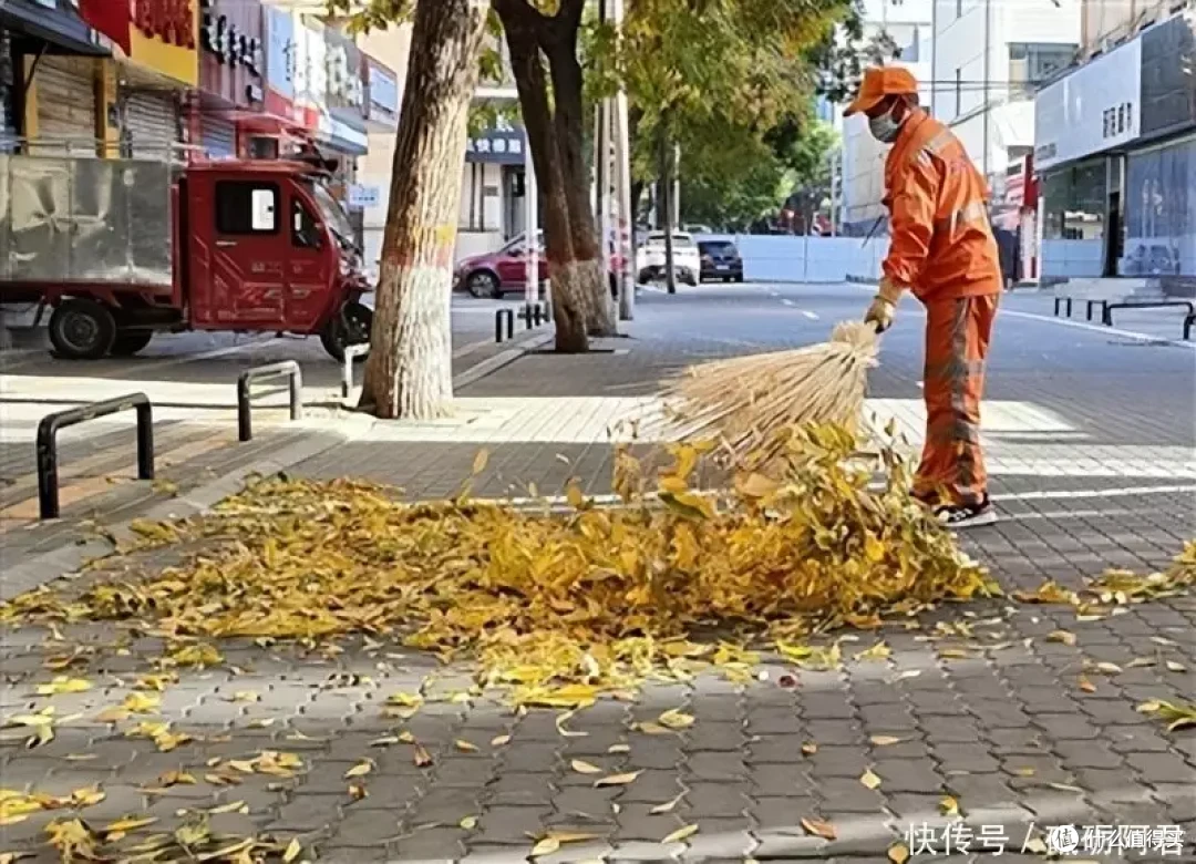 一吨落叶净赚270美元！日本抢着买，中国专家却建议不能出口？_科学技术_什么值得买
