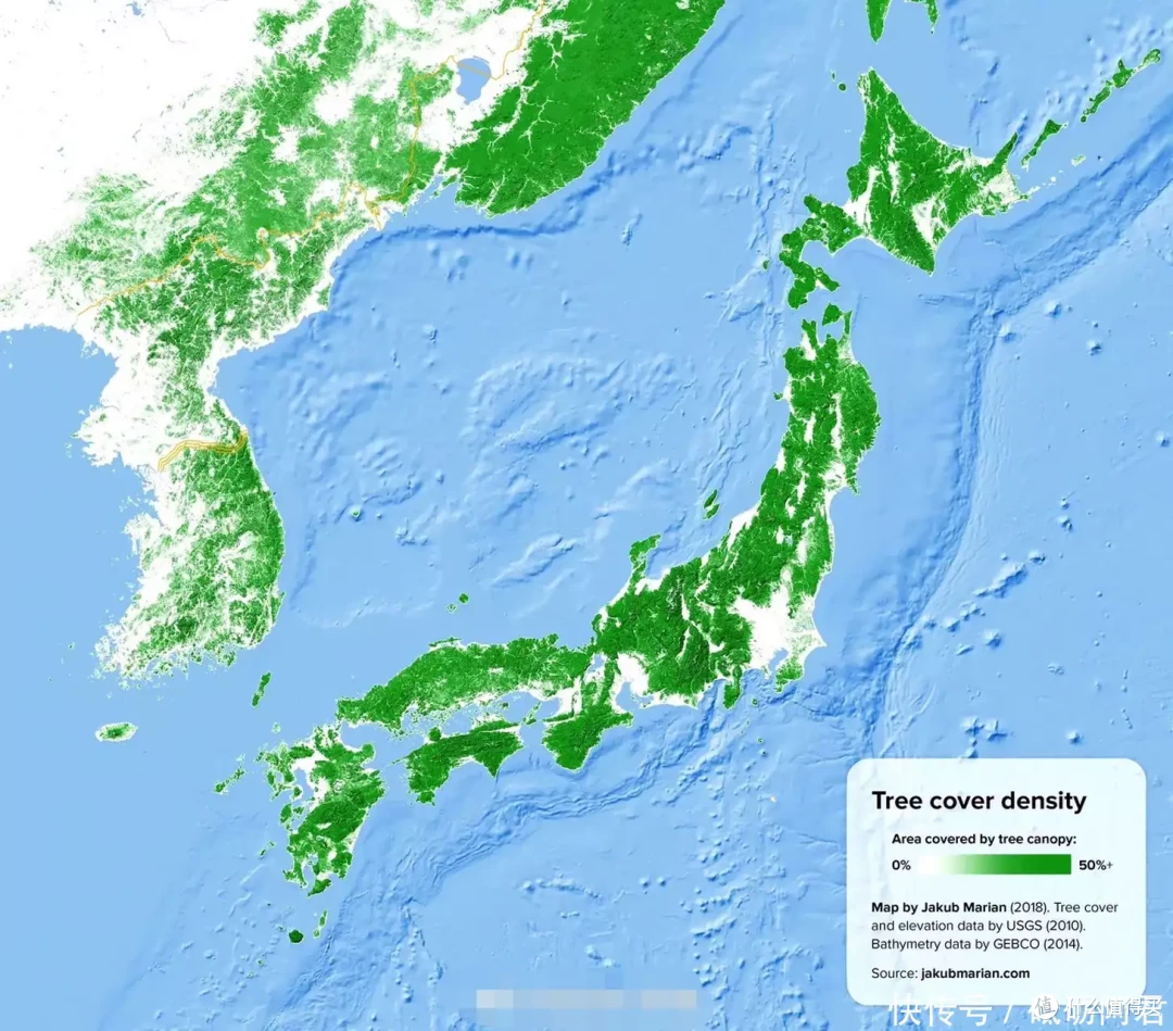 一吨落叶净赚270美元！日本抢着买，中国专家却建议不能出口？_科学技术_什么值得买