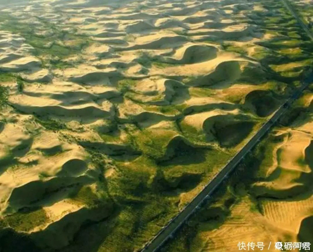 一吨落叶净赚270美元！日本抢着买，中国专家却建议不能出口？_科学技术_什么值得买