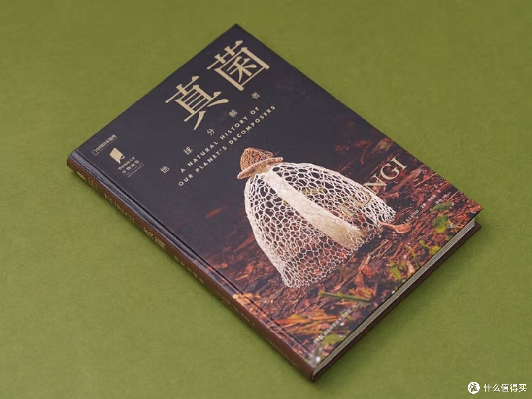 《真菌：隐秘的星球主宰者》——一场颠覆认知的生命探索