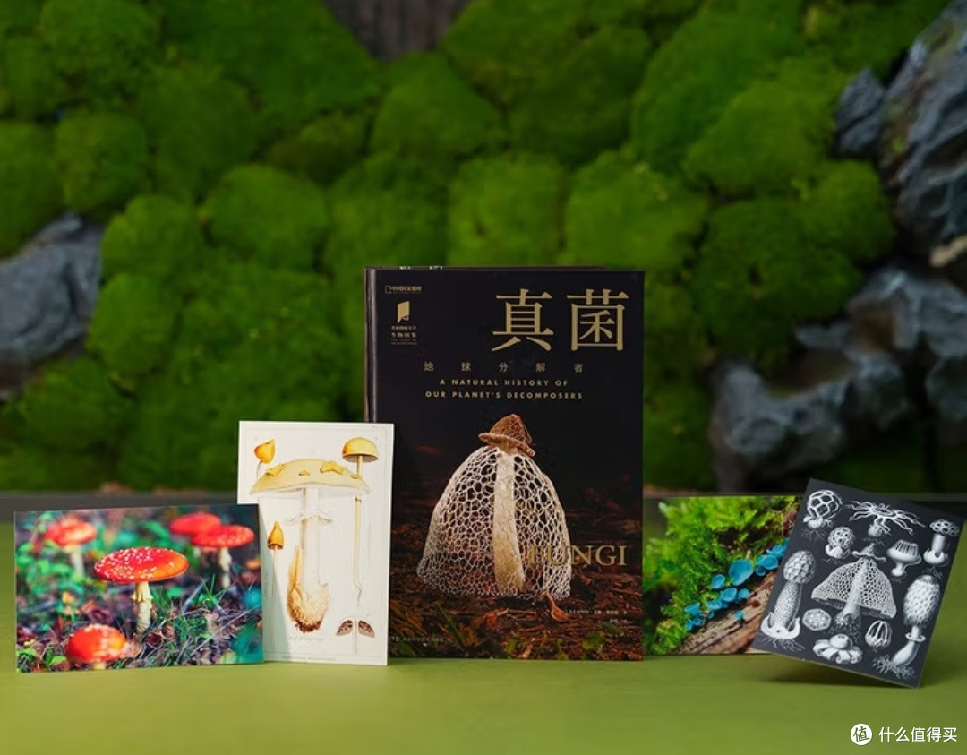 《真菌：隐秘的星球主宰者》——一场颠覆认知的生命探索