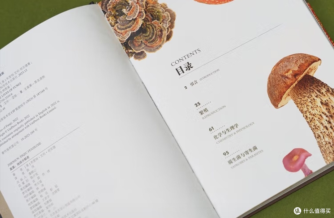 《真菌：隐秘的星球主宰者》——一场颠覆认知的生命探索
