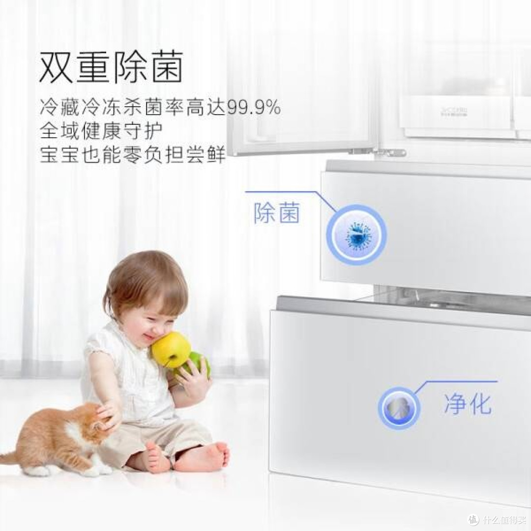 卡萨帝 555 升冰箱：家居生活的品质之选