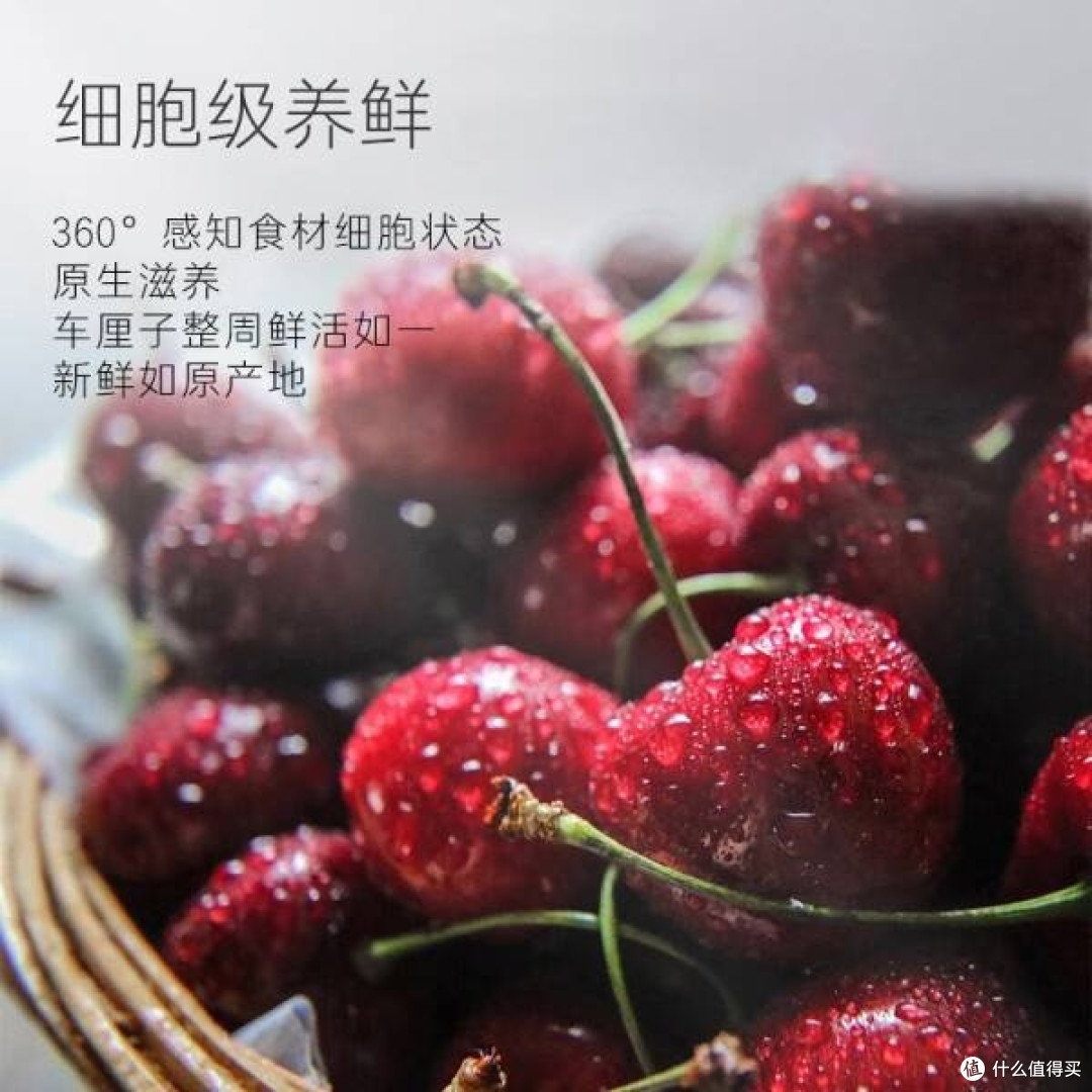 卡萨帝 555 升冰箱：家居生活的品质之选