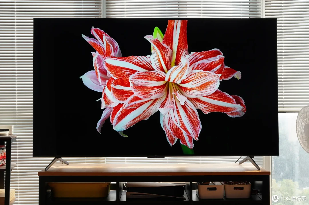 4K出头拿下75英寸热门爆款电视,TCL T7L Pro真的值得入手