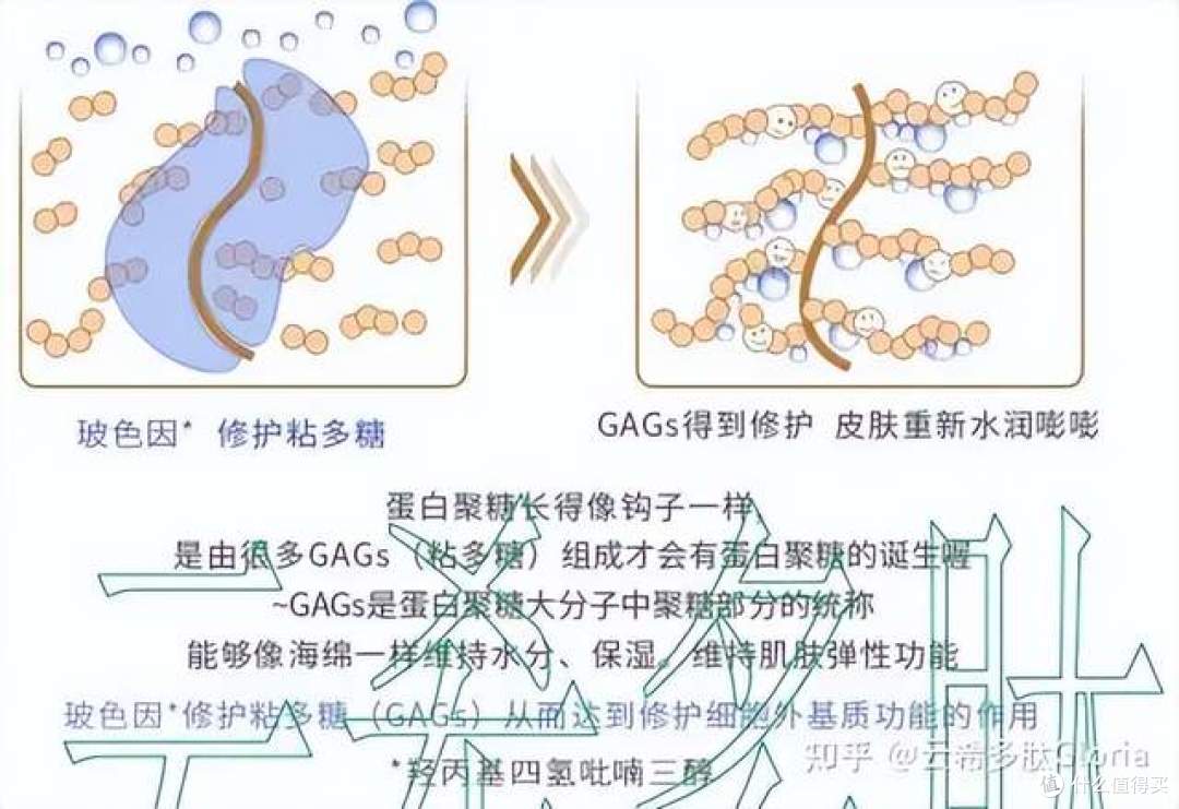 玻色因/羟丙基四氢吡喃三醇，促进胶原蛋白合成，改善细纹