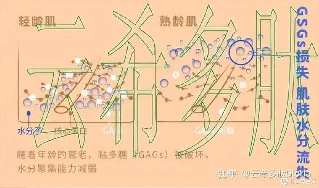 玻色因/羟丙基四氢吡喃三醇，促进胶原蛋白合成，改善细纹