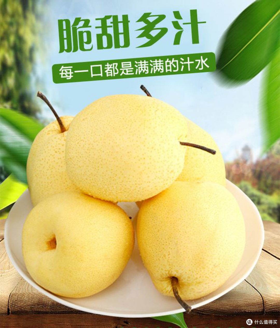 天山雪梨与普通雪梨:口感和营养的不同解析!