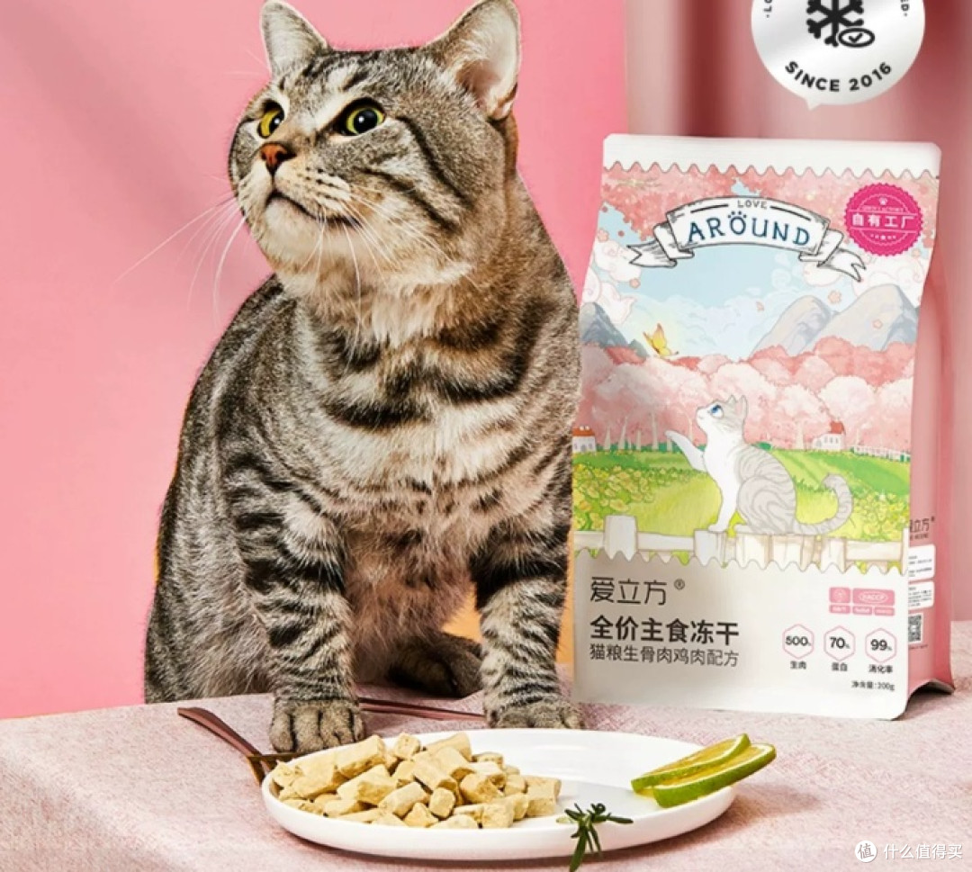 主食冻干什么牌子好?十大口碑最好的猫冻干