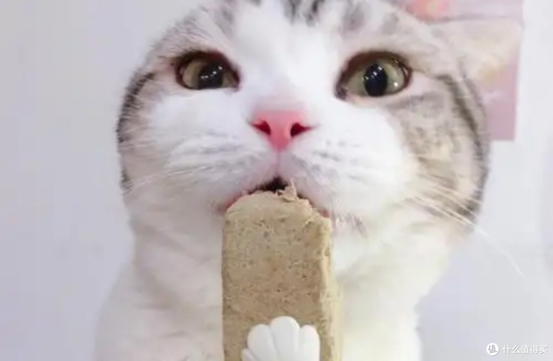 猫冻干哪个牌子好?建议买?猫咪主食冻干推荐五款高性价比
