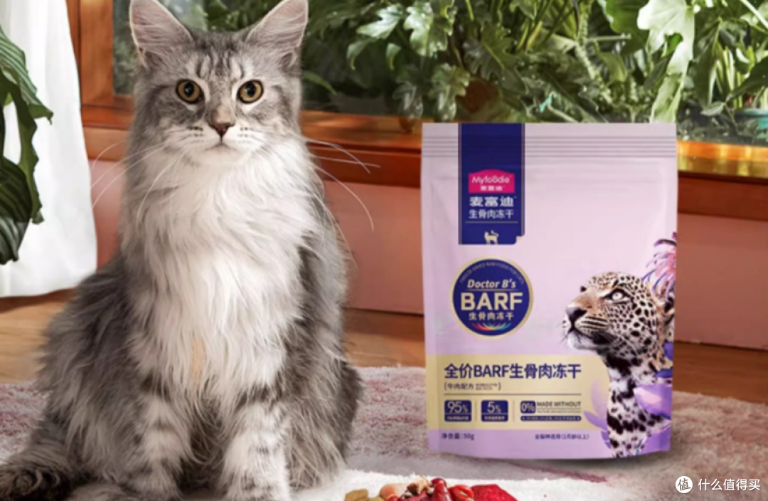 猫冻干哪种比较好吃?性价比、品质综合猫冻干那个牌子好