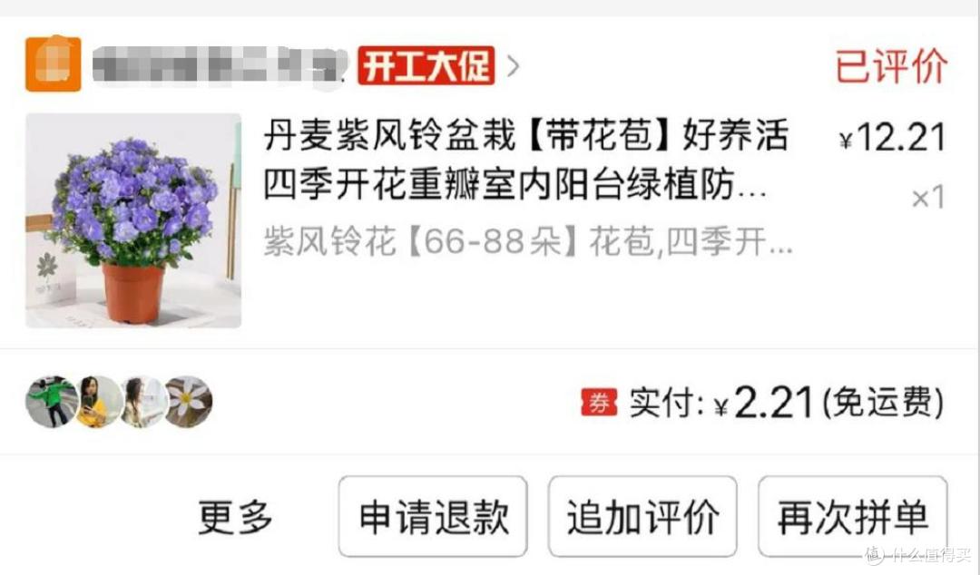 女子晒拼夕夕和花市买的花，天壤之别，网友：拼夕夕赢麻了~