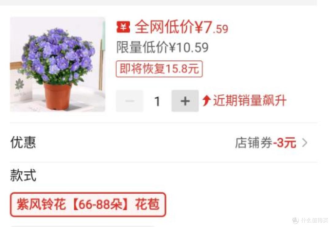 女子晒拼夕夕和花市买的花，天壤之别，网友：拼夕夕赢麻了~