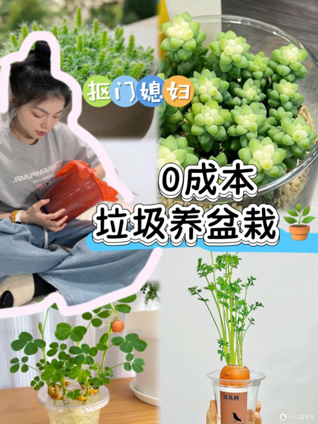 浙江一39岁太太火了,用“垃圾”种菜,自给自足,那叫一个壮观!