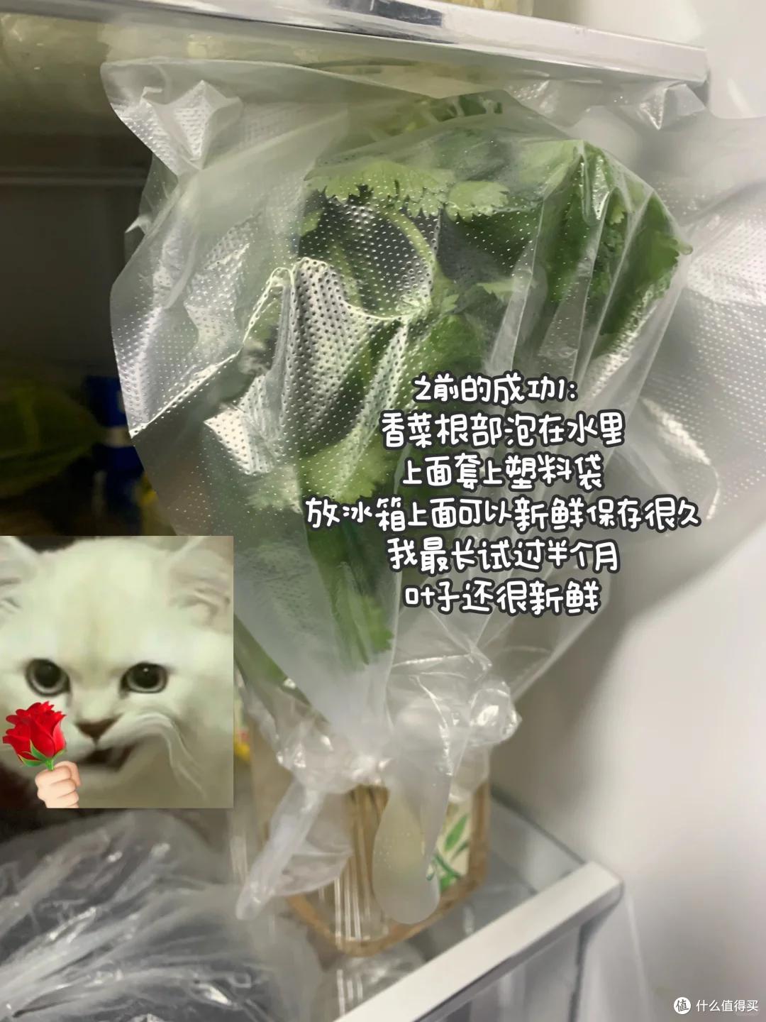 浙江一39岁太太火了,用“垃圾”种菜,自给自足,那叫一个壮观!