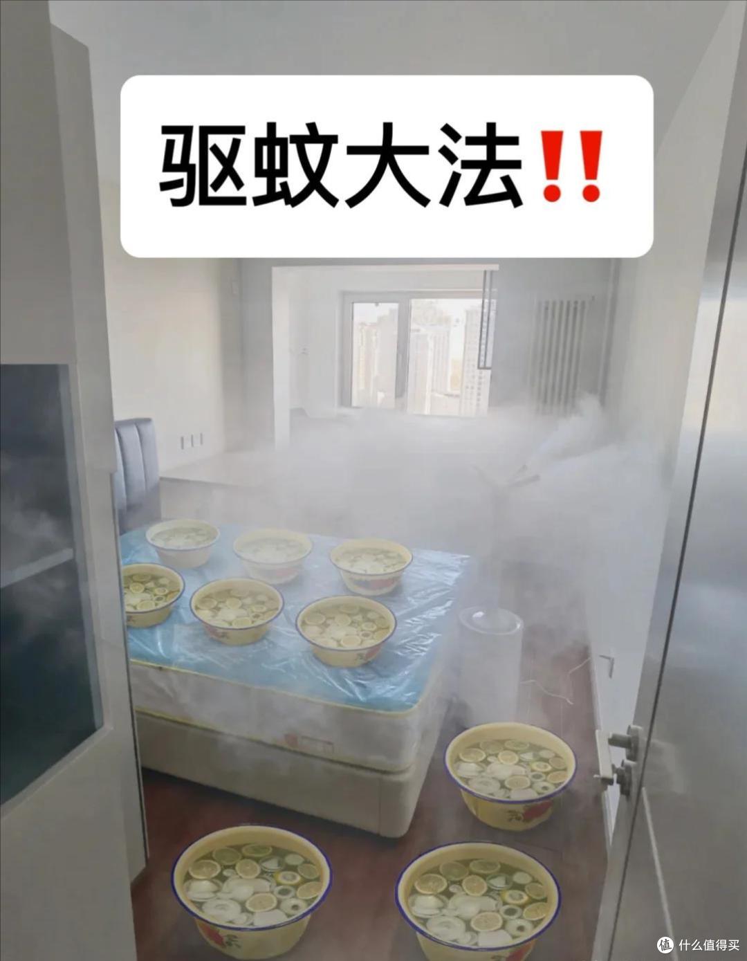 被年轻人的“防蚊大法”惊艳到了,方法很简单,赶快学起来!