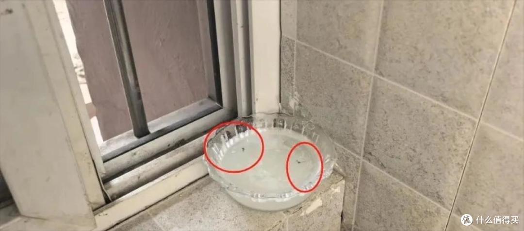 被年轻人的“防蚊大法”惊艳到了,方法很简单,赶快学起来!