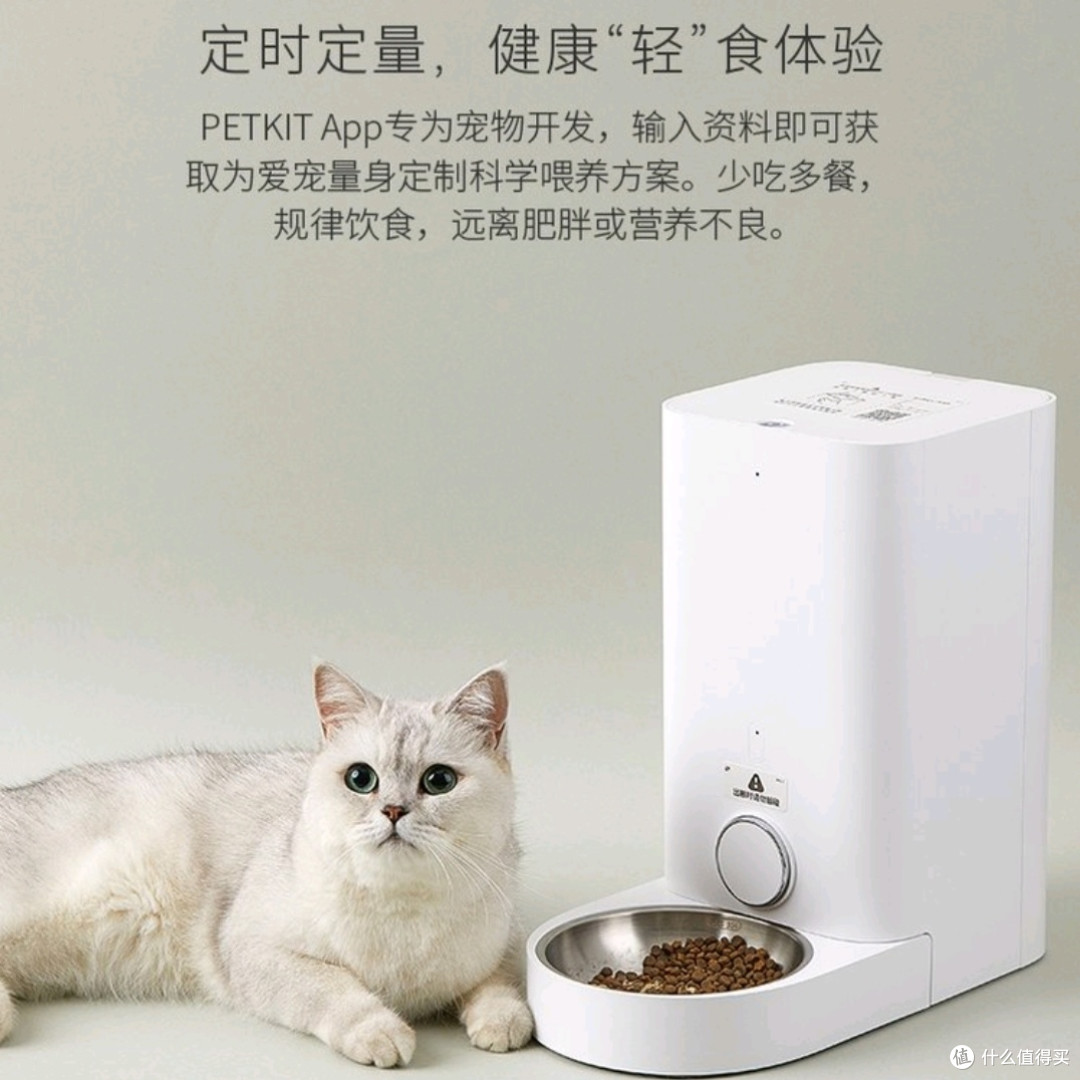 618超值宠物用品清单,分享必买好物及省钱攻略。