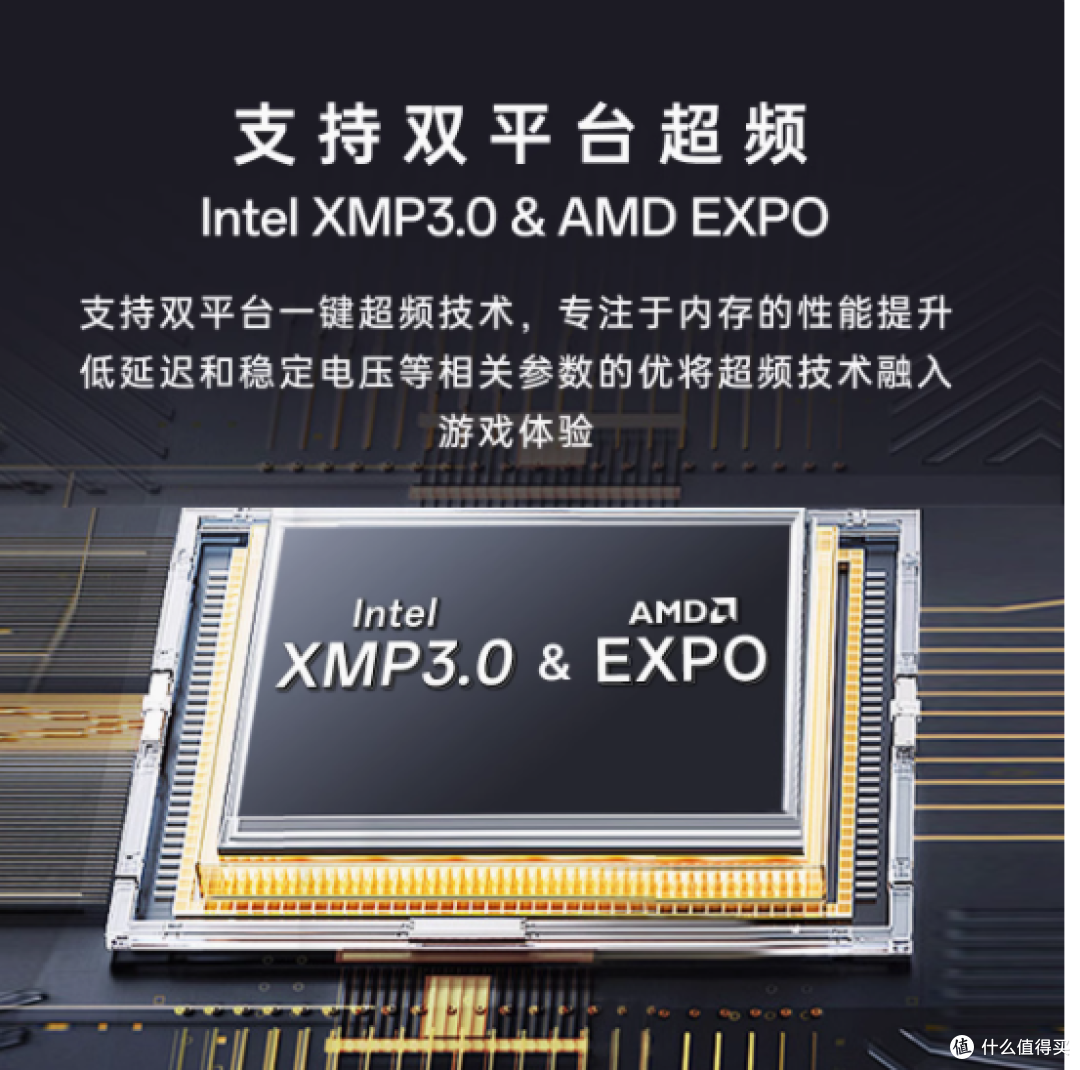 十铨科技旗舰店炫光 DDR5 内存条：高性能与炫酷外观的完美结合