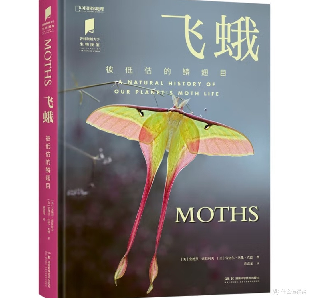 暗夜舞者:被遗忘的生态艺术家