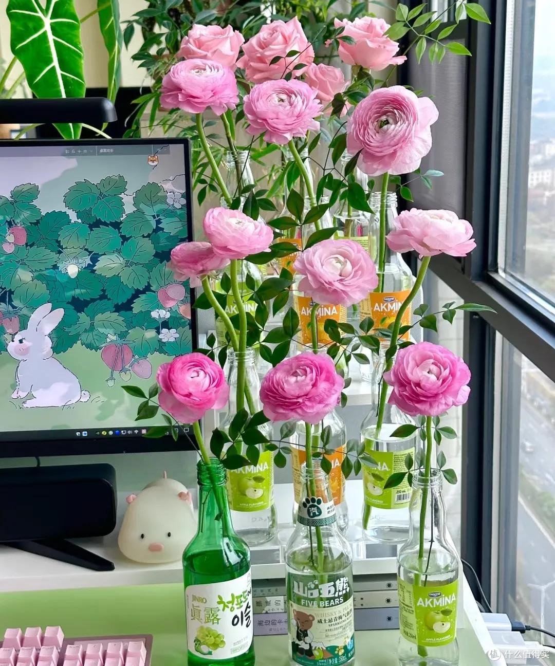 00后在工位上养花,把“班味”去得干干净净,老板:像进了花园里
