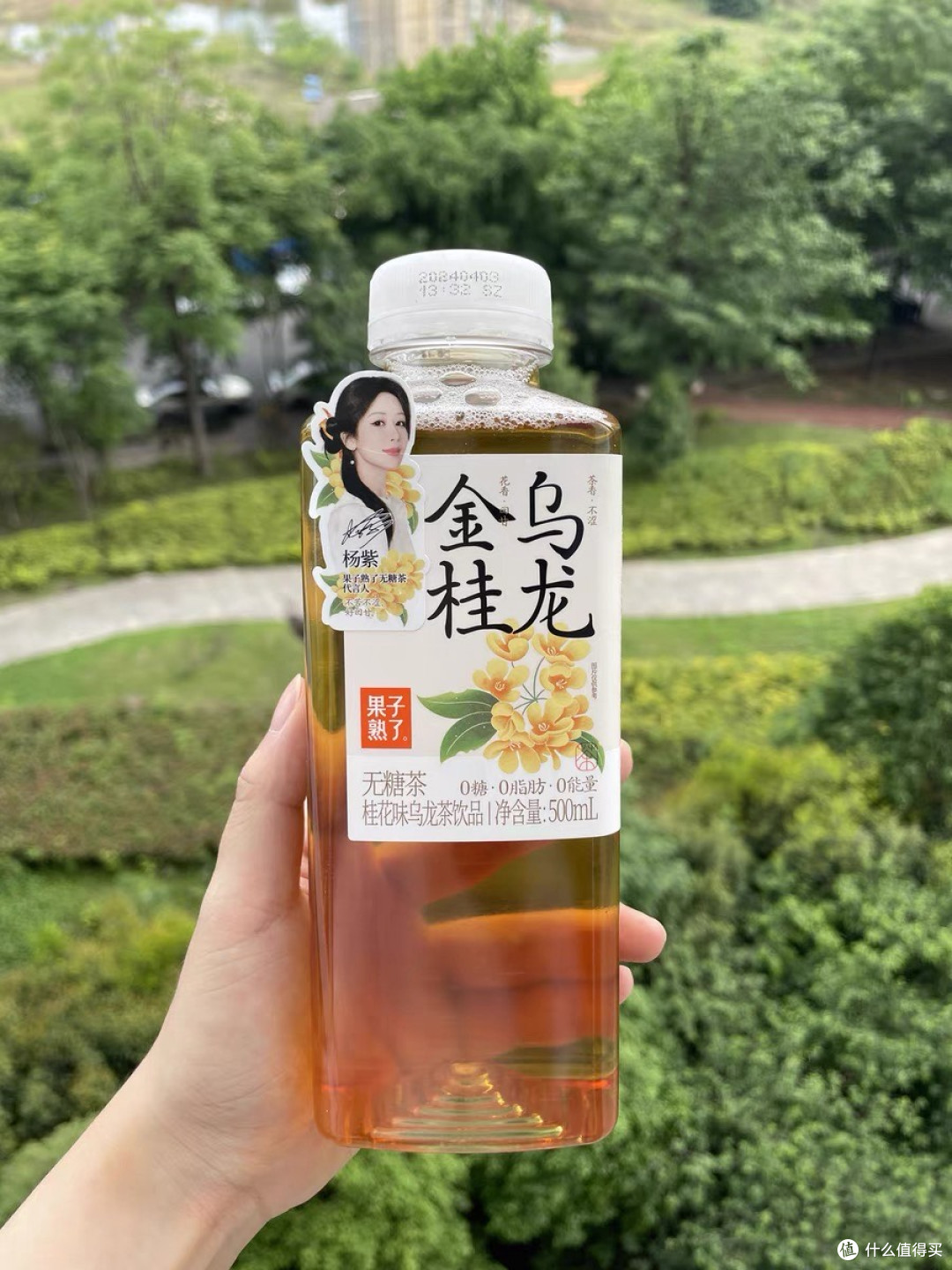 0糖0脂0卡,果子熟了无糖茶