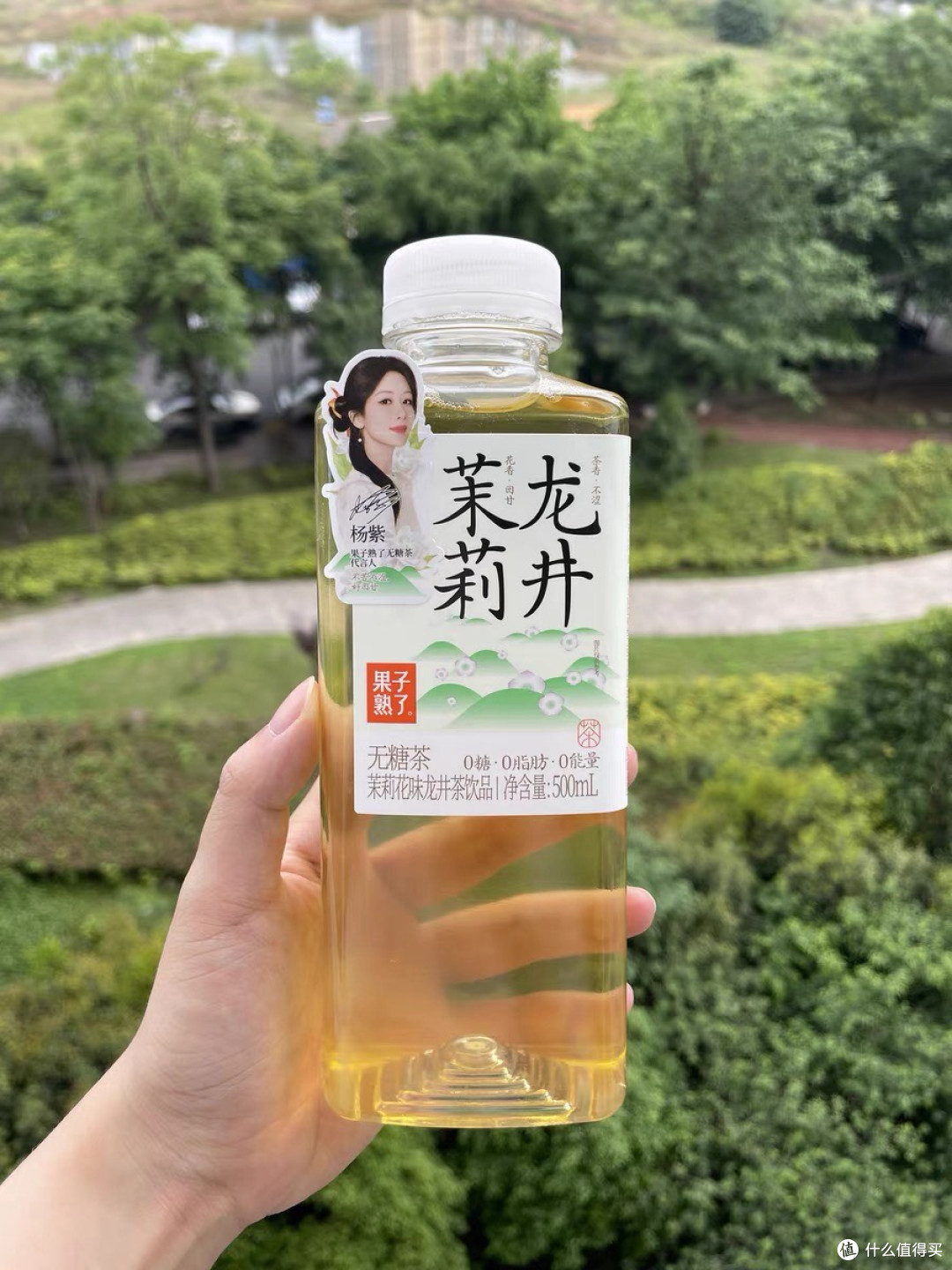 0糖0脂0卡，果子熟了无糖茶